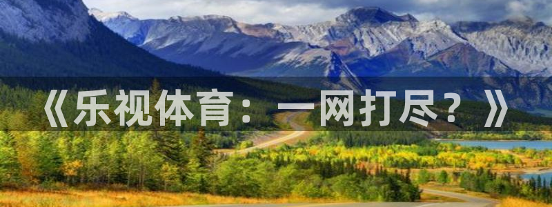 《乐视体育：一网打尽？》