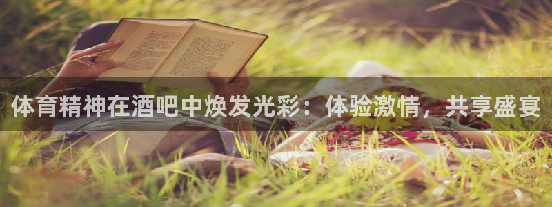 体育精神在酒吧中焕发光彩：体验激情，共享盛宴