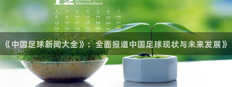 《中国足球新闻大全》：全面报道中国足球现状与未来发展》