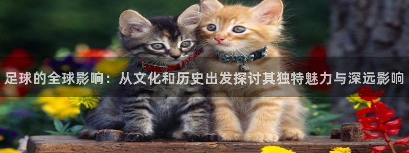足球的全球影响：从文化和历史出发探讨其独特魅力与深远影响