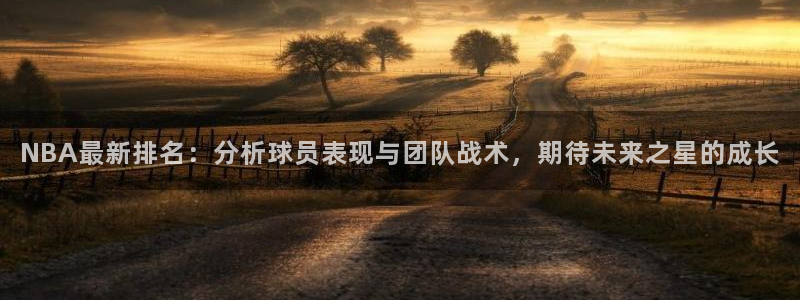 NBA最新排名：分析球员表现与团队战术，期待未来之星的成长