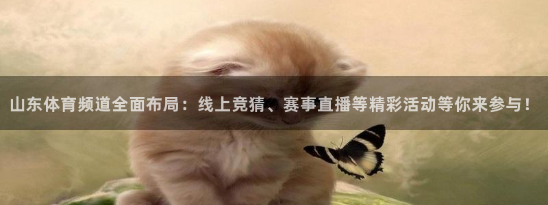 山东体育频道全面布局：线上竞猜、赛事直播等精彩活动等你来参与！