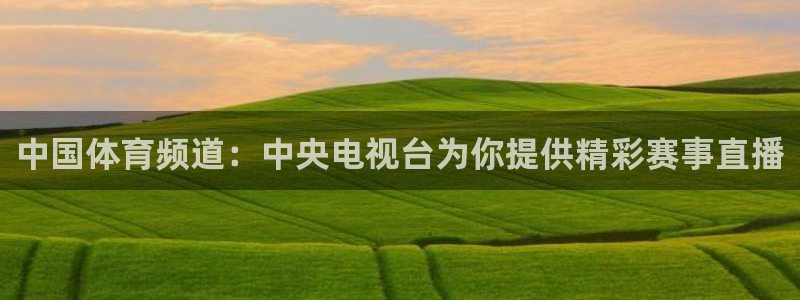 中国体育频道：中央电视台为你提供精彩赛事直播