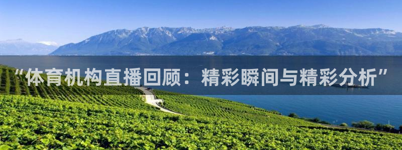“体育机构直播回顾：精彩瞬间与精彩分析”