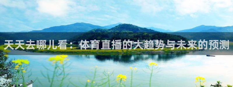 天天去哪儿看：体育直播的大趋势与未来的预测
