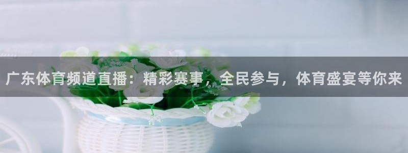广东体育频道直播：精彩赛事，全民参与，体育盛宴等你来