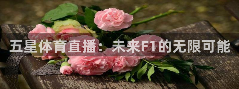 五星体育直播：未来F1的无限可能