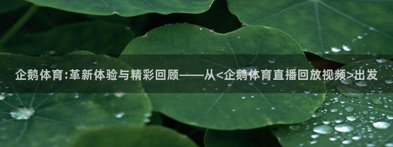企鹅体育:革新体验与精彩回顾——从<企鹅体育直播回放视频>出发