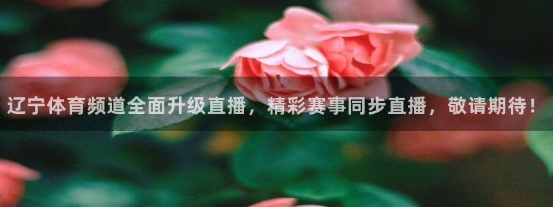 辽宁体育频道全面升级直播，精彩赛事同步直播，敬请期待！
