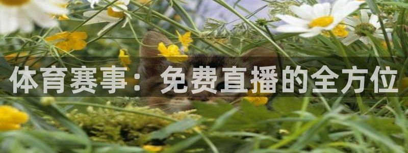 体育赛事：免费直播的全方位