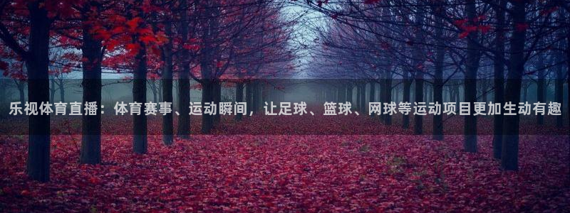 乐视体育直播：体育赛事、运动瞬间，让足球、篮球、网球等运动项目更加生动有趣