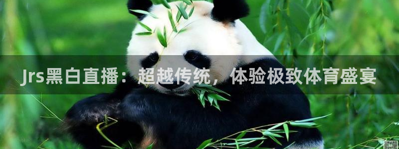 Jrs黑白直播：超越传统，体验极致体育盛宴