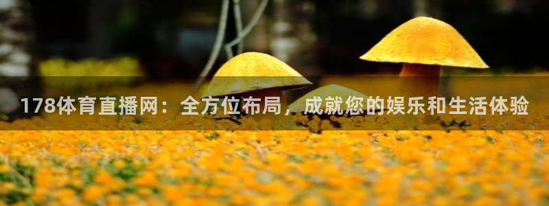 178体育直播网：全方位布局，成就您的娱乐和生活体验