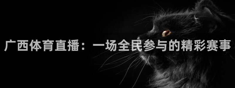 广西体育直播：一场全民参与的精彩赛事